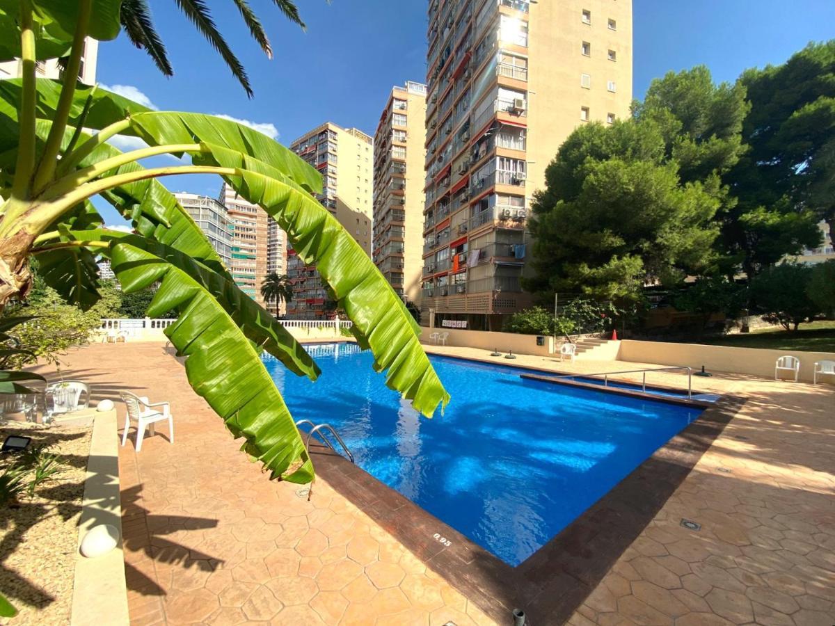 Apartment Don Miguel I-2